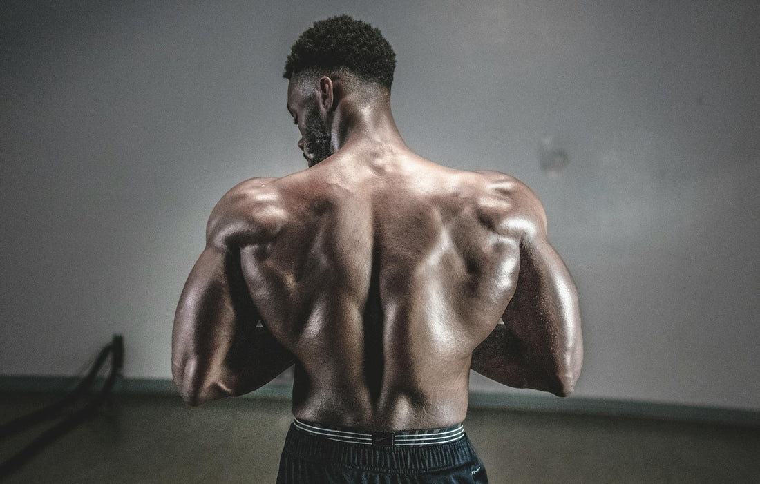 Comment une tour de traction peut remplacer 5 machines de salle de sport